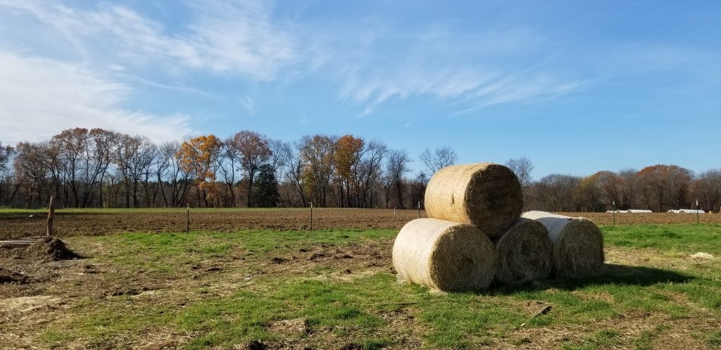 Land Ownership Transfer